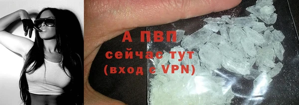 дживик Беломорск