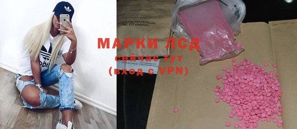 бошки Белокуриха