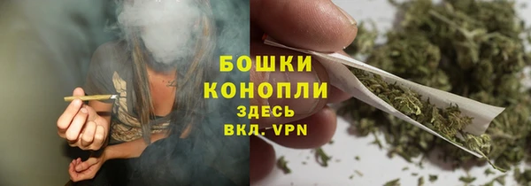 бошки Белокуриха
