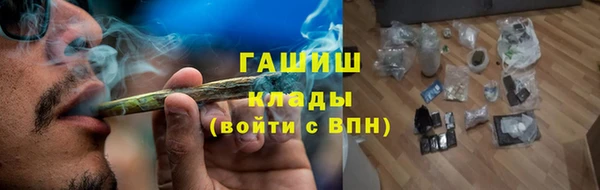бошки Белокуриха
