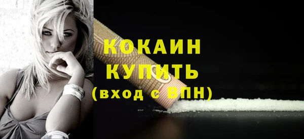 бошки Белокуриха