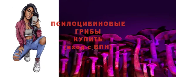 дживик Беломорск
