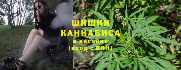 бошки Белокуриха