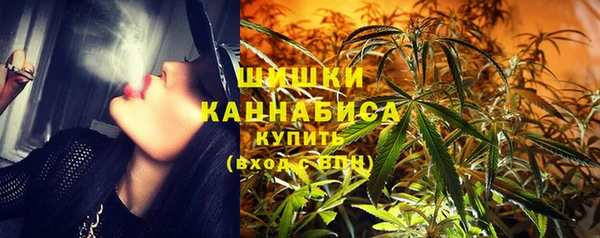 бошки Белокуриха