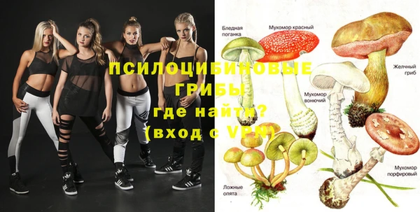 бошки Белокуриха