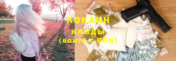 бошки Белокуриха
