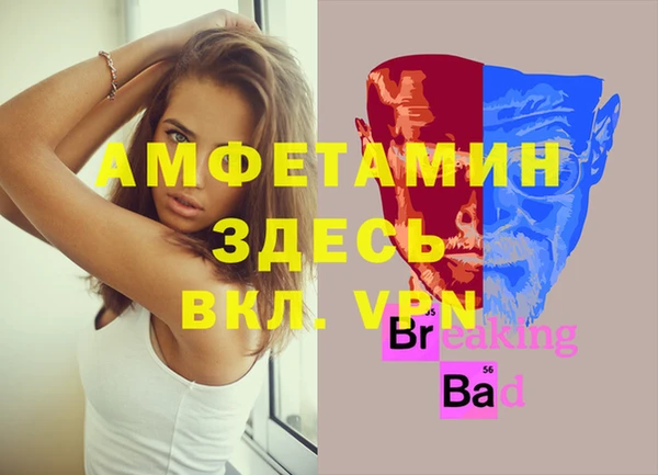 бошки Белокуриха