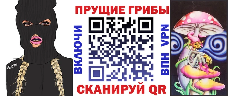 Псилоцибиновые грибы GOLDEN TEACHER Кудымкар
