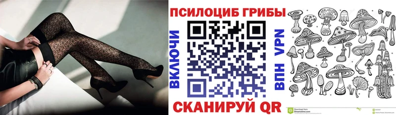 цены Кудымкар Галлюциногенные грибы Psilocybe